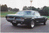 Mustang1.gif (57153 byte)