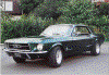 Mustang3.gif (74173 byte)